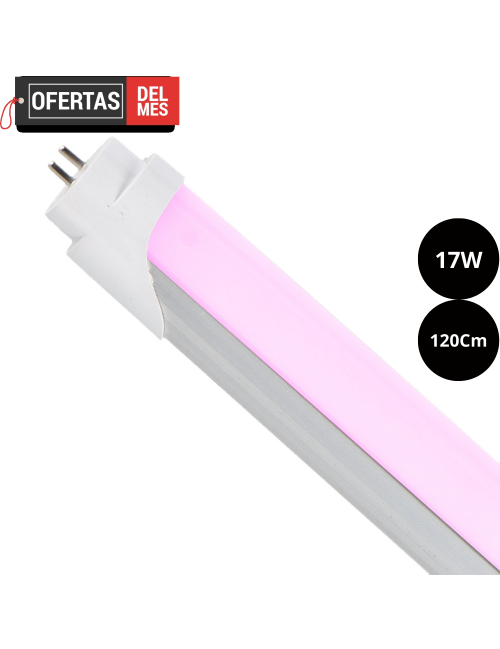 Tubo de Led T8 1200 Mm Ekran 17W Rosa Conexión un Lateral