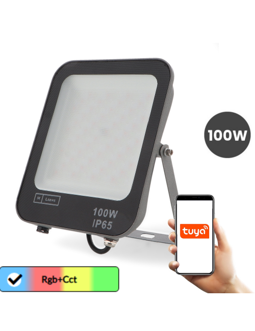 Proyector Led Smarhome 100W Rgb+Cct