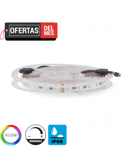  Tira Led 24V Dc Smd5050 Videny Ip65 Rgb+W(3000K) 14W/m - 5 Metros 