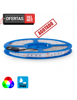 Tira Led 24V Dc Smd3535 Clasic Ip65 Rgb 12W/m - 5 Metros