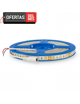 Tira de Led 12V Dc Smd5050 60 Led/m - 5 Metros