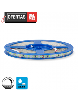 Tira de Led 24V Dc Smd3535 Serie Clasic Ip65 120 Led/m - 5 Metros