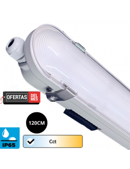 Regleta Estanca LED 40W IP66 Philips Driver Color seleccionable 120cm