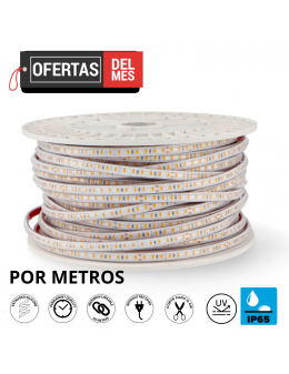 Tira de Led 220V Ac Smd2835 Prostrip 12W/m Ip65 - 50 Metros