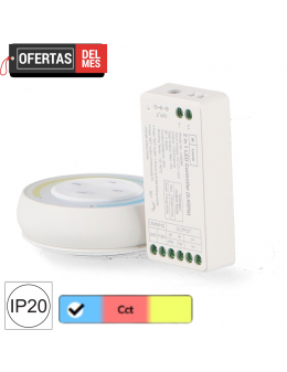 Controlador Regulador Monocolor+Cct 12/24V Dc + Mando Rf