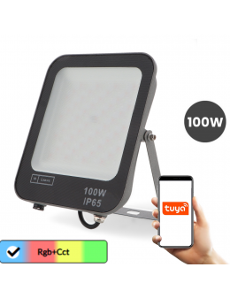Proyector Led Smarhome 100W Rgb+Cct