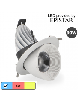 Foco Downlight Led Orientable White Track 30W